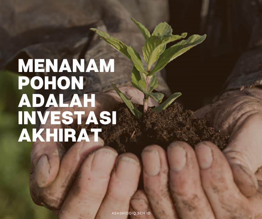 Keutamaan Menanam Pohon atau Tanaman bagi Umat Muslim